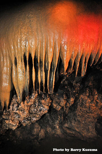 Menikmati Wisata Caving & Menjelajah Gua Buniayu.