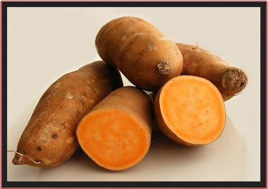 12 Makanan Yang Bisa Mengatasi Kanker