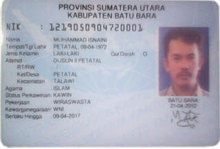 Bibit Sawit Umur 3 Bulan