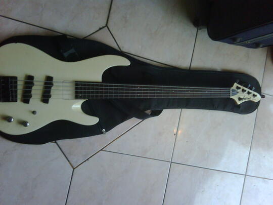 aria pro ii 5 string bass guitar