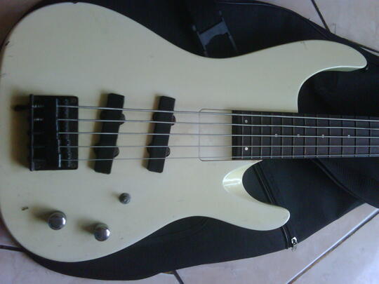 aria pro ii magna series 5 string bass