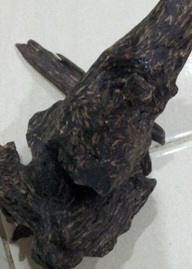 Jual Kayu Gaharu Super King Tenggelam Di Air