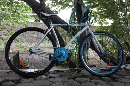 wimcycle fixie