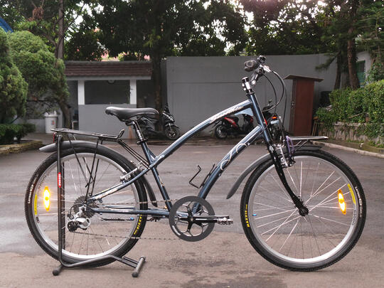 beach cruiser city bike