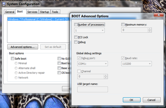 boot advanced options number of processors