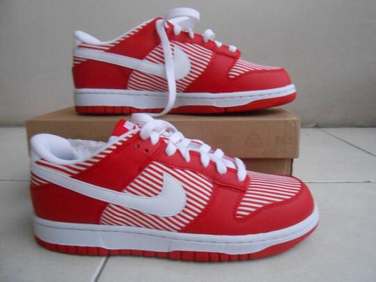 nike dunk 40