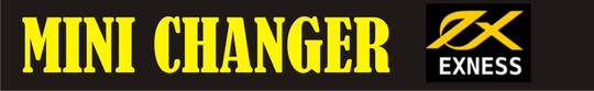 MINI CHANGER DAN PEMBAYARAN ONLINE