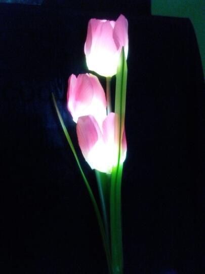 lampu hias taman bunga tulip solar cell