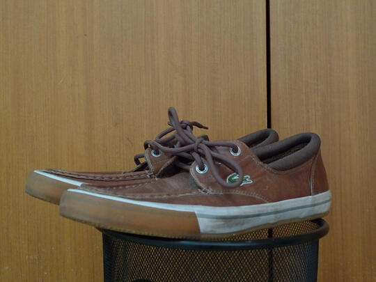 converse lacoste shoes