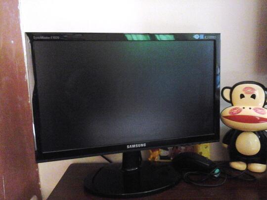 PC + Monitor Samsung E1920