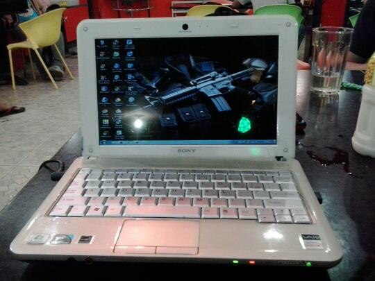 Sony Vaio Vpcm126g 10 Inch White
