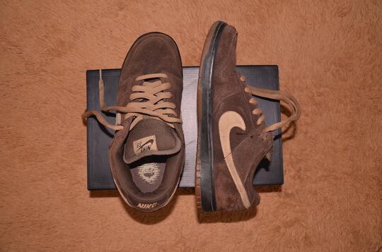 nike sb boat shoes