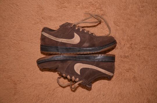 nike sb boat shoes