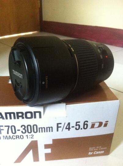 TAMRON AF 70-300mm F/4-5.6 LD MACRO 1:2