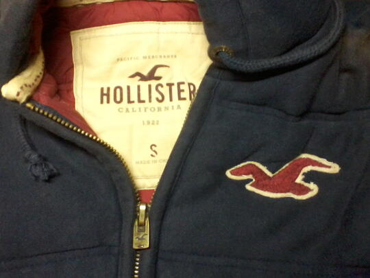 Terjual Jaket Hollister California | KASKUS