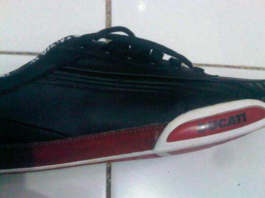 jual puma ducati