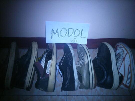 kamar store vans