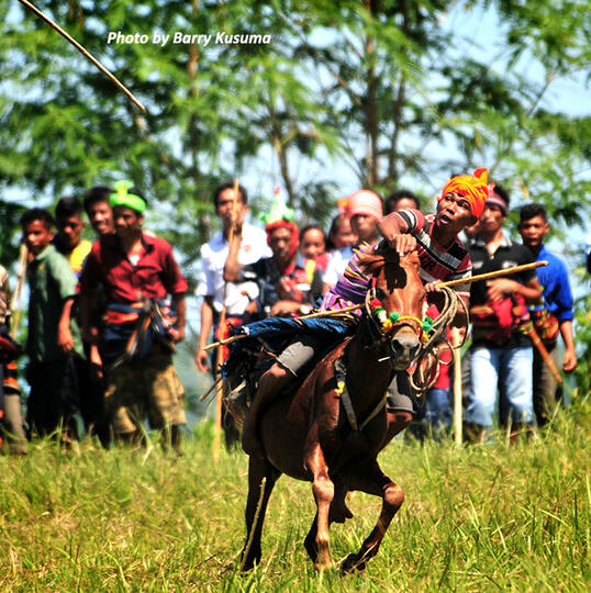 Pasola, Aksi Pelempar Lembing dan Penunggang Kuda dari Sumba.