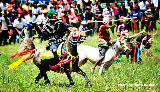 Pasola, Aksi Pelempar Lembing dan Penunggang Kuda dari Sumba.