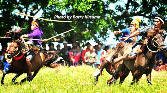 Pasola, Aksi Pelempar Lembing dan Penunggang Kuda dari Sumba.