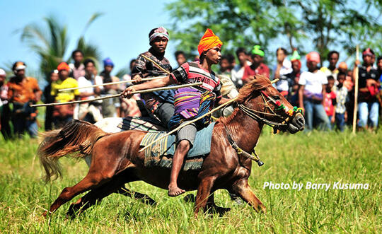 Pasola, Aksi Pelempar Lembing dan Penunggang Kuda dari Sumba.
