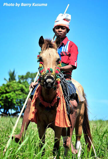 Pasola, Aksi Pelempar Lembing dan Penunggang Kuda dari Sumba.