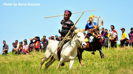 Pasola, Aksi Pelempar Lembing dan Penunggang Kuda dari Sumba.