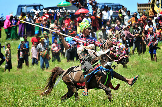Pasola, Aksi Pelempar Lembing dan Penunggang Kuda dari Sumba.