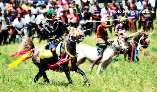 Pasola, Aksi Pelempar Lembing dan Penunggang Kuda dari Sumba.
