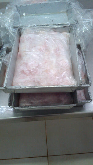 jual daging fillet ikan laut partai besar