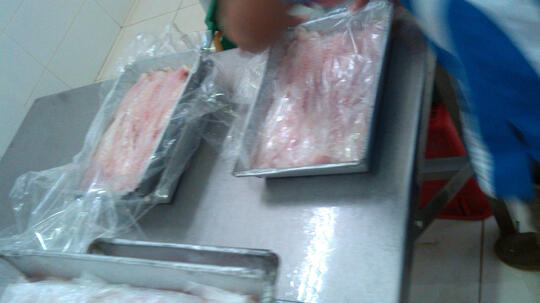 jual daging fillet ikan laut partai besar
