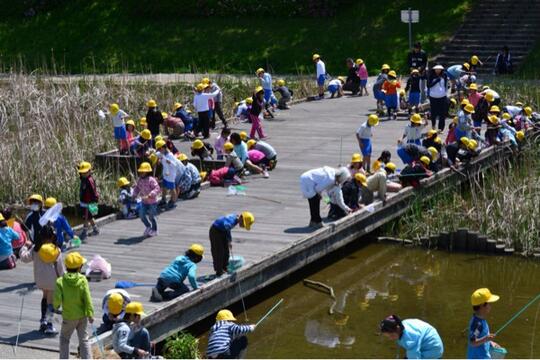 Ternyata Kayak Gini Gan Sekolah di Jepang