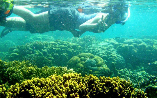 Terjual Wisata Snorkling Area Pulau Pawahang Lampung