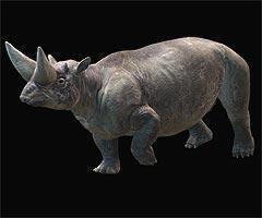 1040+ Gambar Hewan Yang Sudah Punah Di Dunia Gratis