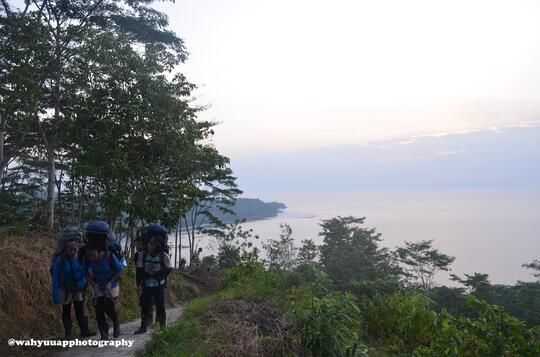 8 Hari Menjelajah Hutan Taman Nasional Bukit Barisan Selatan