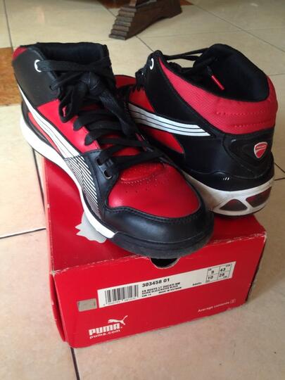 jual puma ducati