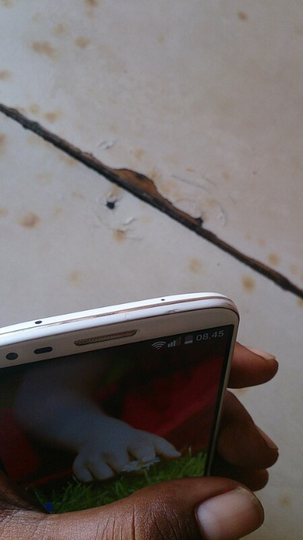 LG G2 hp + charger