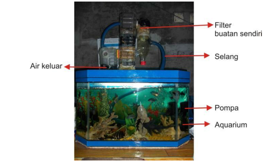 Tips Membuat Filter Aquarium Tanpa Perlu Menguras Airnya Kaskus