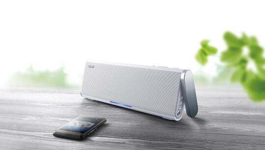 Sony SRS-BTX300