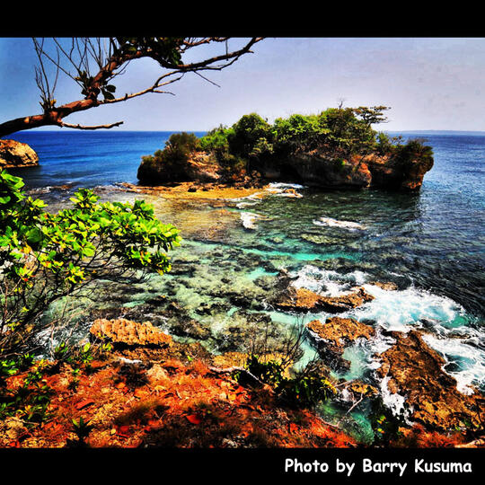 Pulau Peucang, Wisata Pantai & Hutan di Ujung Barat Pulau Jawa.