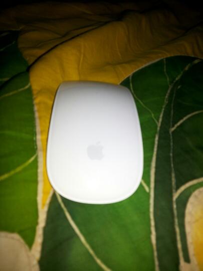 jual Magic Mouse second
