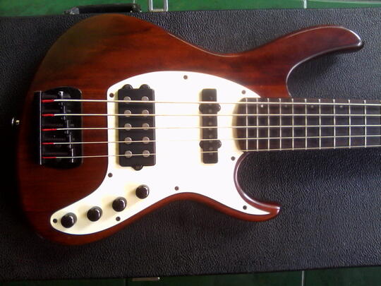 Bass Cort GB45 5string made in korea