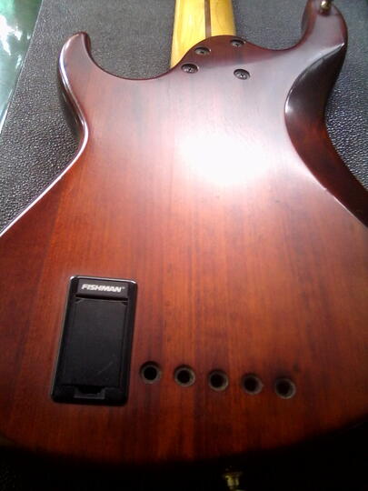 Bass Cort GB45 5string made in korea