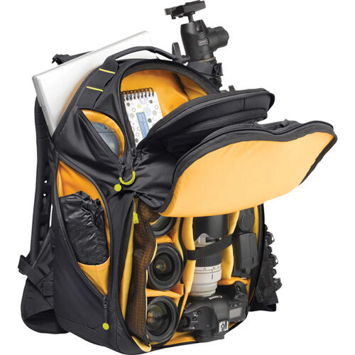 kata bumblebee 222 ul