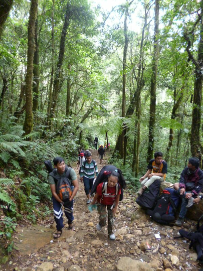 2958 mdpl Mt Gede-Pangrango