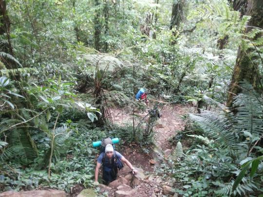 2958 mdpl Mt Gede-Pangrango