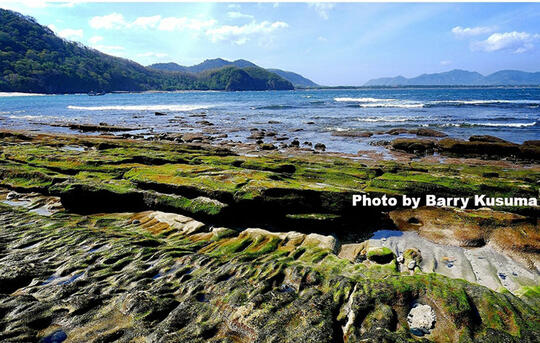Papuma Jember Pantai terindah di Jawa Timur.