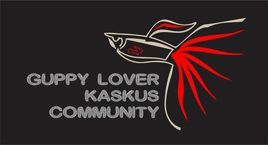 Guppy LOVers - Part 2