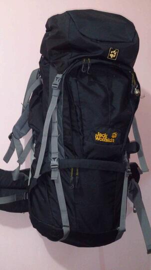 jack wolfskin denali