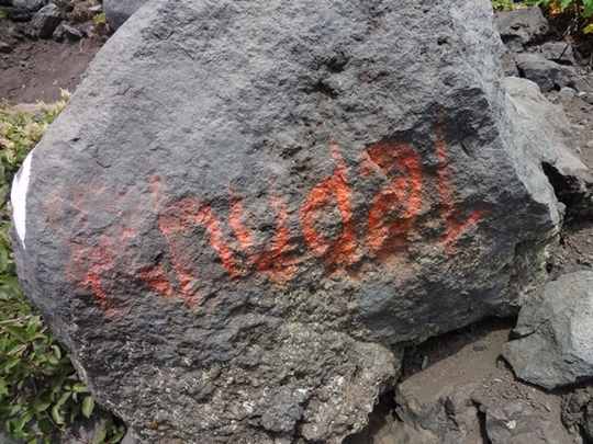 Coretan Indonesia di Gunung Fuji